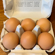 Laden Sie das Bild in den Galerie-Viewer, Eier vom Sonnenhof