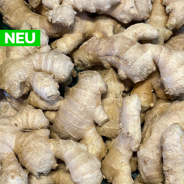 Bio-Ingwer